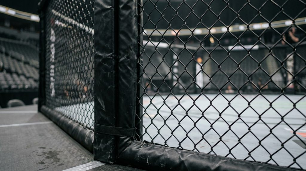 Ufc kijken in Nederland: alle legale en goedkopere opties